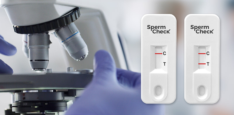 understand spermcheck results